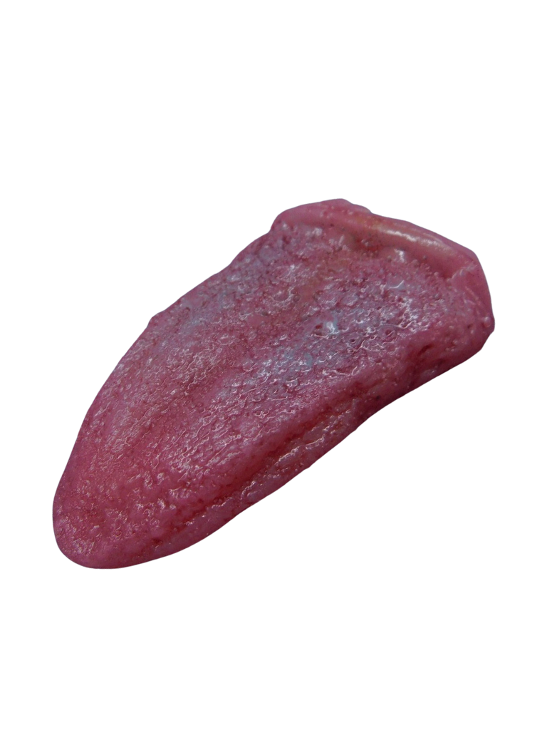  Tongue - Silicone
