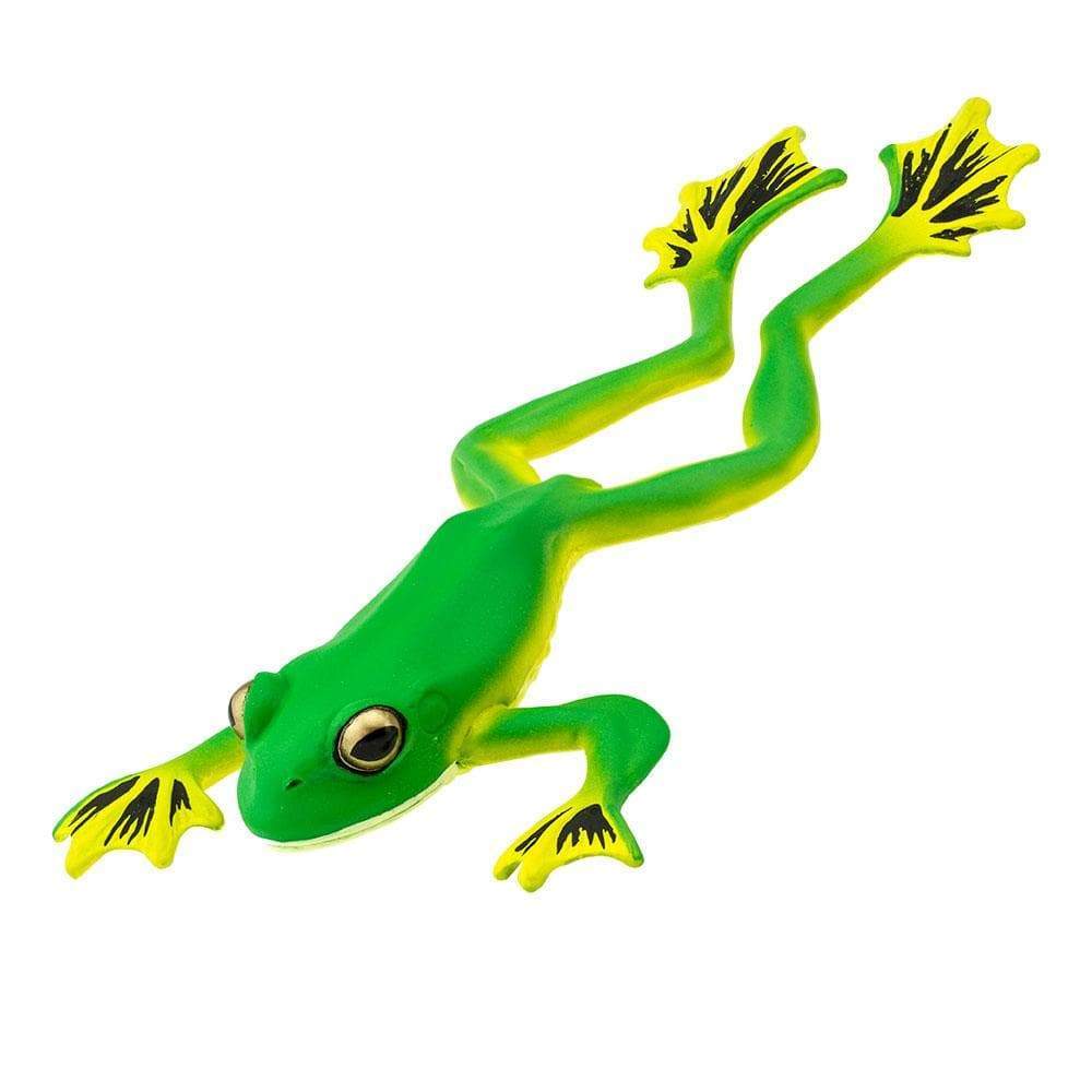 Realistic Rubber Tree Frog Prop – Dapper Cadaver Props