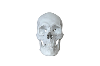 Henning Skull