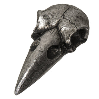 Raven Skull Hand Mirror