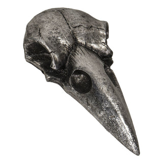 Raven Skull Hand Mirror