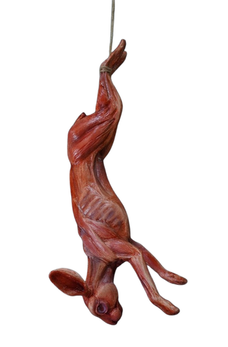 Skinned Rabbit