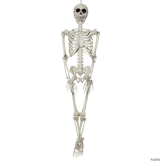 3 Ft Hanging Skeleton