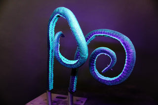 5ft Long Poseable Glow Giant Octopus Tentacle