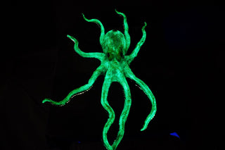 4ft Blacklight Glow Octopus