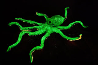 4ft Blacklight Glow Octopus