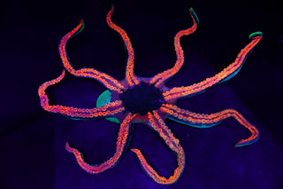 4ft Blacklight Glow Octopus