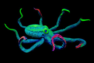 4ft Blacklight Glow Octopus