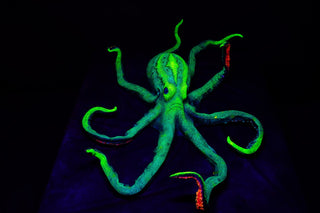 4ft Blacklight Glow Octopus