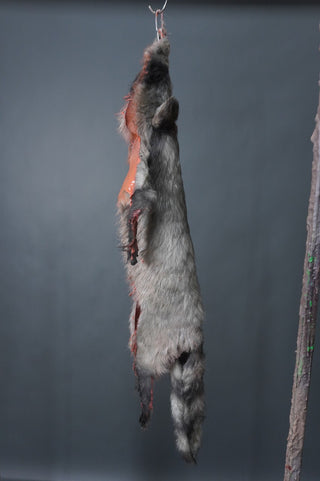 Faux Raccoon Pelt