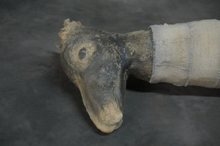 Ancient Egyptian Dog Mummy 24"