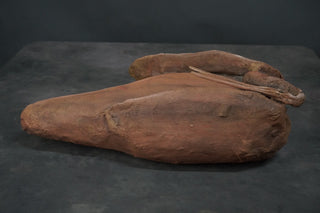 Ancient Egyptian Ibis Mummy Replica 24"