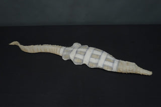 Ancient Egyptian Crocodile Mummy Replica 50"