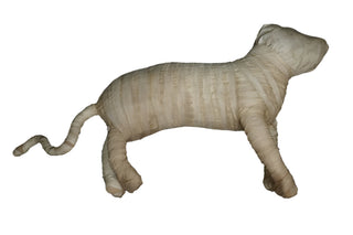 Ancient Egyptian Lion Cub Mummy Replica 40"