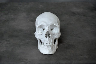 Henning Skull