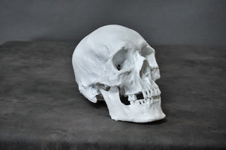 Henning Skull