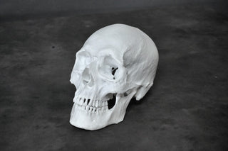 Henning Skull