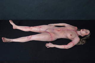 Meredith Cadaver Body