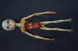 Autopsy Alien Visitor Poseable Prop