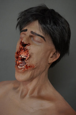 Smashed Face Martin Half Anatomical Dummy