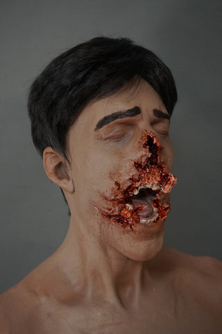 Smashed Face Martin Half Anatomical Dummy