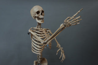 Poseable Crime Scene Skeleton with Stand