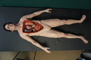 Dura Internal Disease Autopsy Jack Body