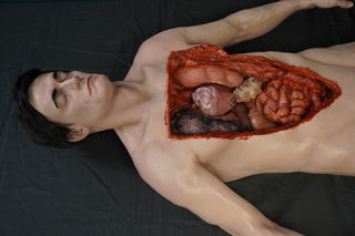 Dura Internal Disease Autopsy Jack Body