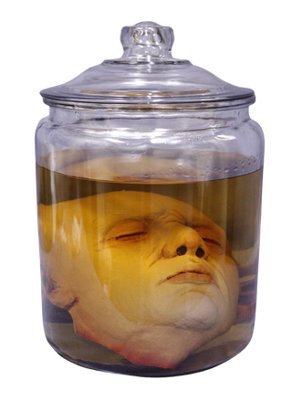 head in a jar halloween prop
