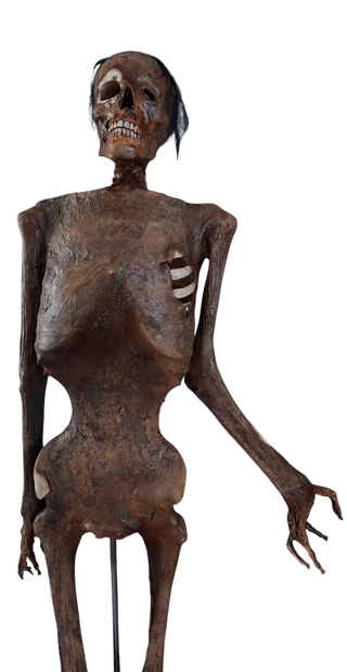 Academic Skeleton – Dapper Cadaver Props