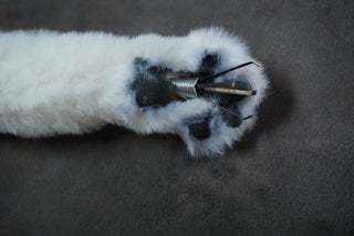 Grabber Cat Paws