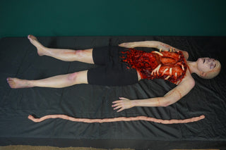 Meredith Body with Removable Silicone Intestines