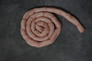 Silicone Small  Intestine