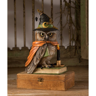 Woodsy Wizard Owl Decor