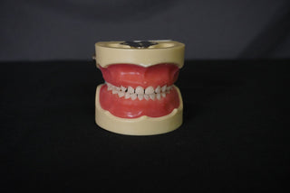 bbSNAPS - Dentist Tooth (comes with 15 sets)